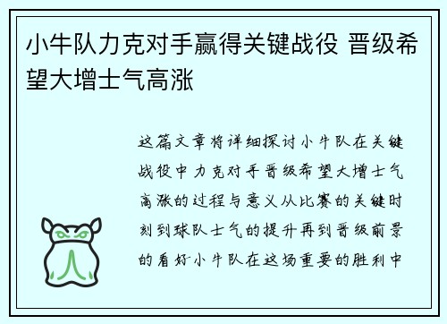 小牛队力克对手赢得关键战役 晋级希望大增士气高涨